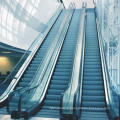 Energy Saving Smooth Running Robust and Reliable Escalator